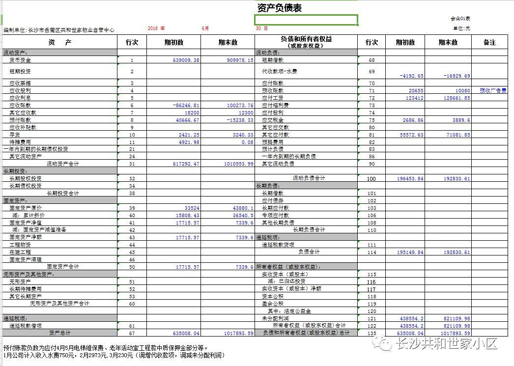 共和世家上半年财务报表