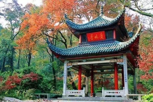 共和世家百科全书 共和世家百科全书